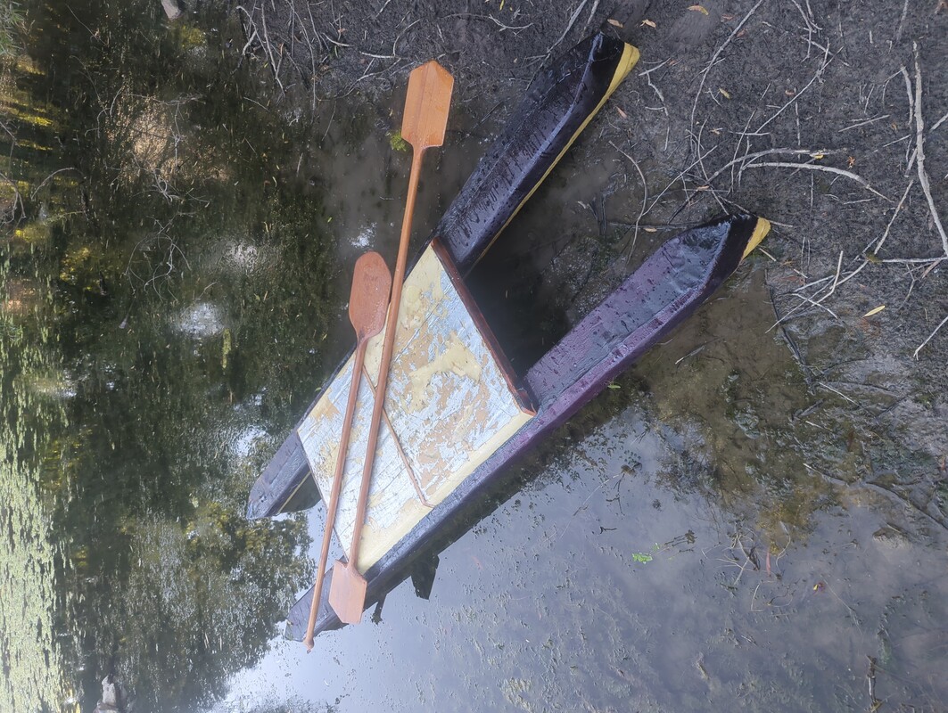 finished paddle cat floating on a stagnant pond.
