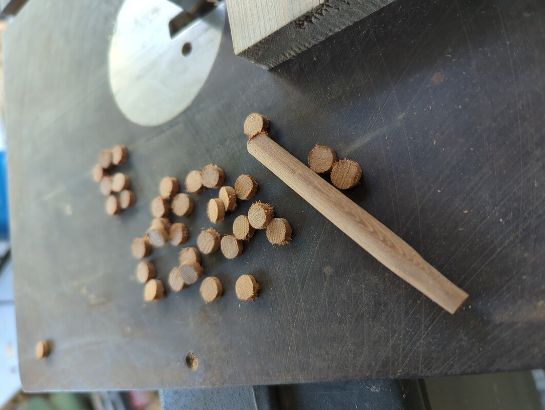 dowel and a small collection of thin discs cut from the dowel. The dowel and discs are resting on the bed of a bandsaw.