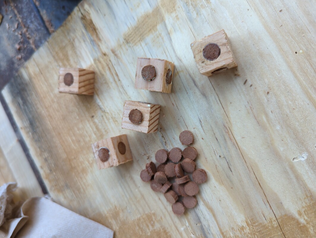 5 Doug Fir cubes with redwood discs extending from insets in the cubes. 