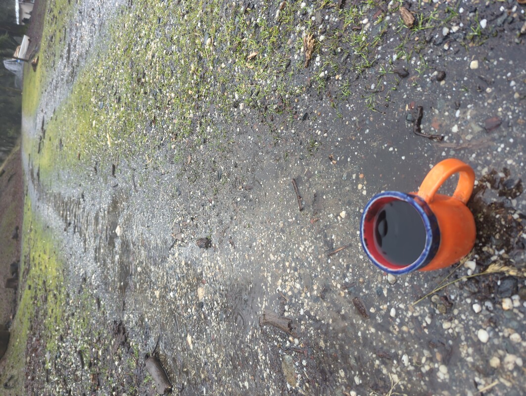 a cup of coffee in a water soaked dirt driveway